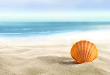 上港客场挑战国安，实力对比分析