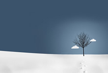 曼聯風起雲涌，波尔图提前警惕