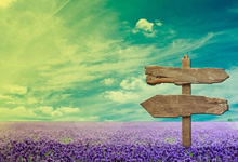 焦点对决四川熊队大胜四川阵线队